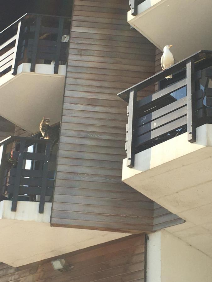 Mon Balcon Face A La Mer - Les Marinas Deauville Exterior photo